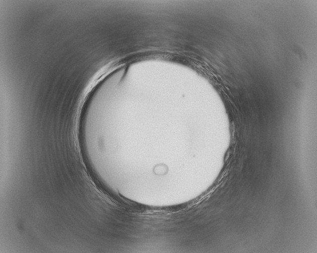 X0000115140150200912081333