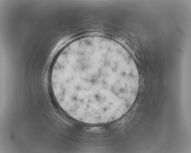 X0000115140151200912081333