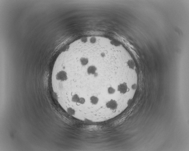 X0000115140153200912081333