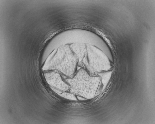 X0000115140154200912081333