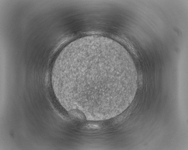 X0000115140159200912081333