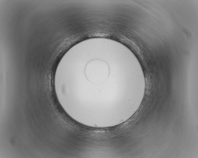 X0000115140162200912081333