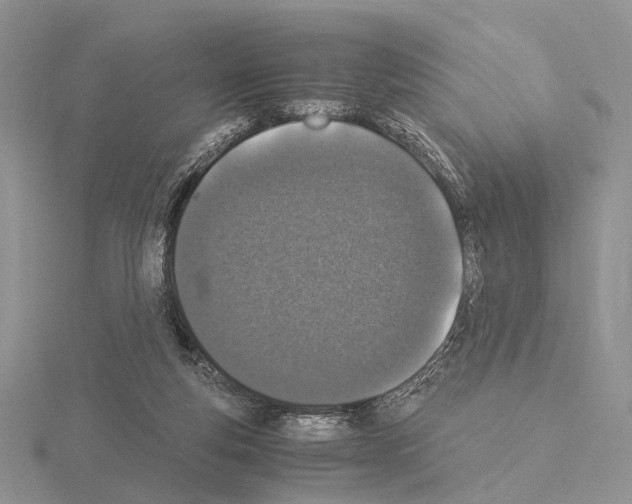 X0000115140163200912081333