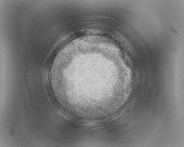 X0000115140169200912081333