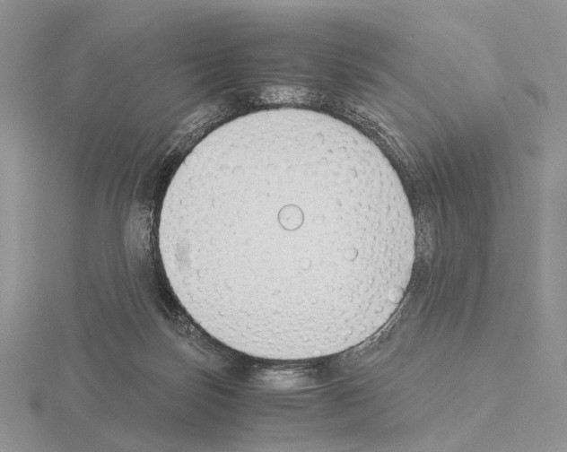 X0000115140171200912081333