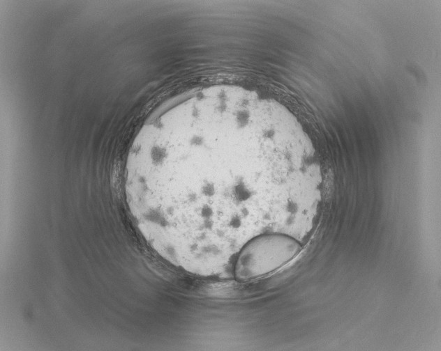 X0000115140178200912081333