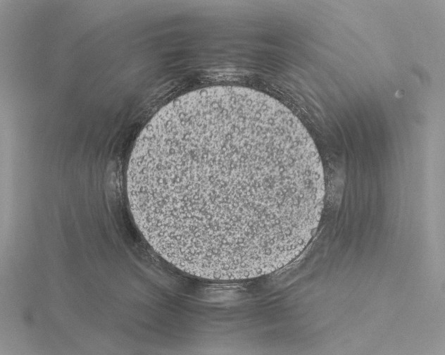 X0000115140179200912081333