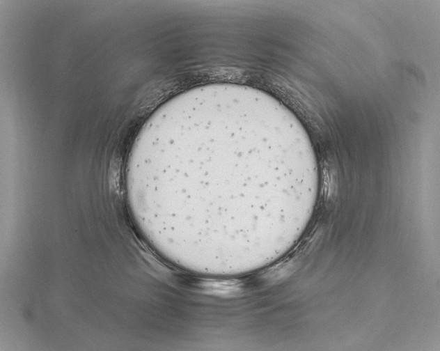 X0000115140185200912081333