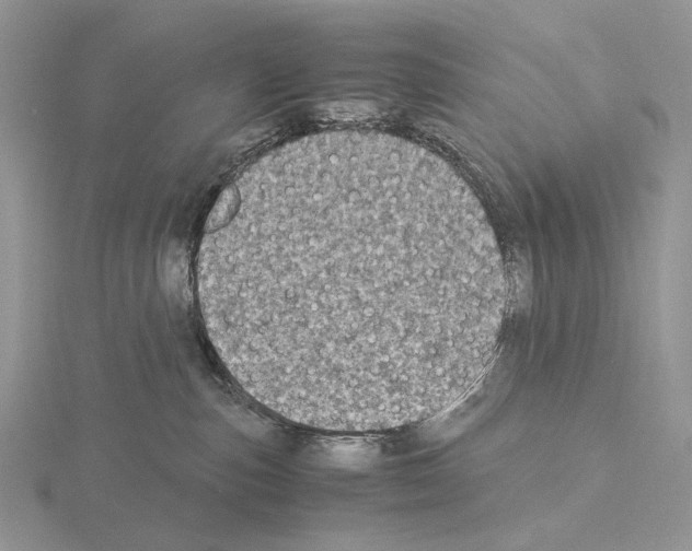 X0000115140187200912081333