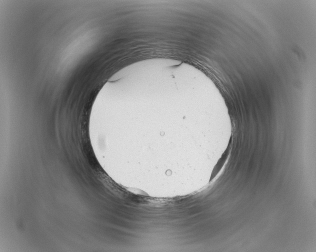 X0000115140190200912081333