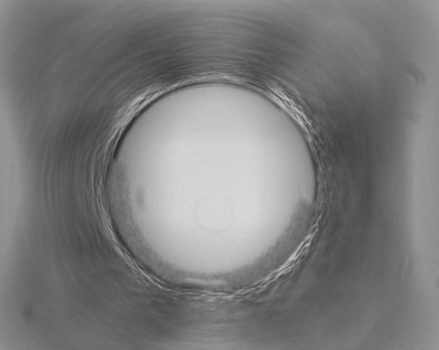 X0000115140193200912081333