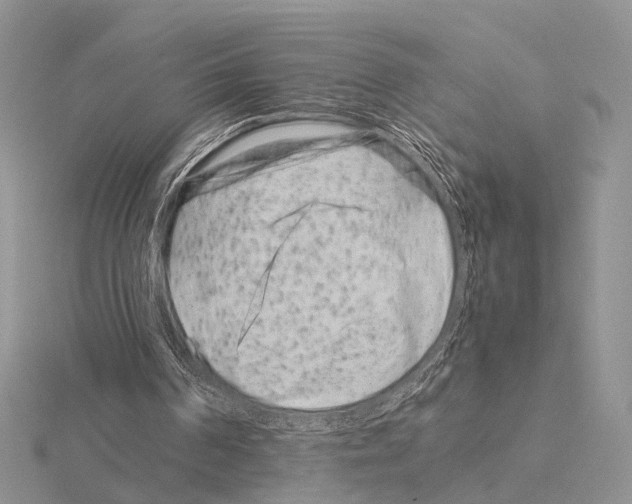 X0000115140194200912081333