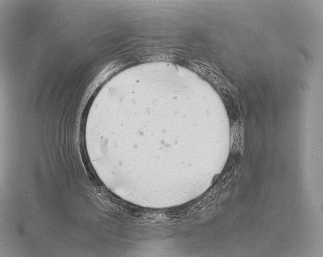 X0000115140195200912081333