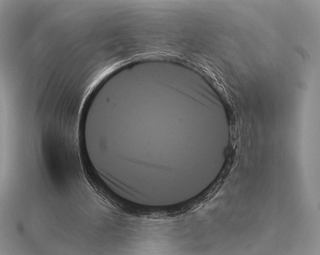 X0000115140196200912081333