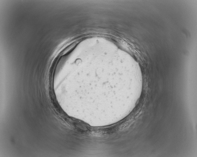 X0000115140199200912081332