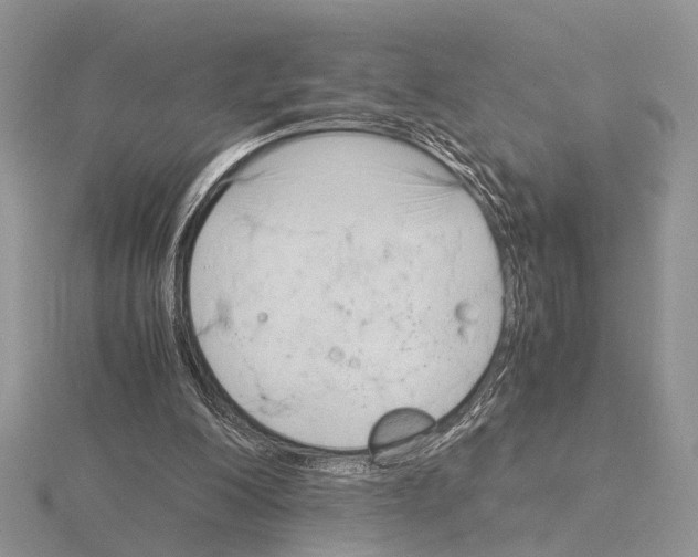 X0000115140200200912081332