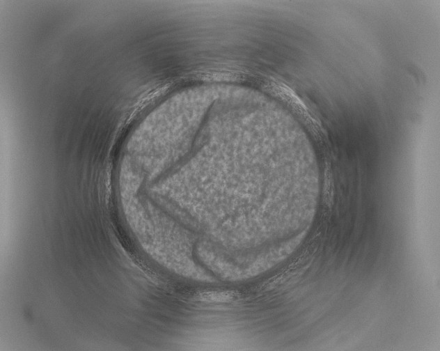 X0000115140202200912081332