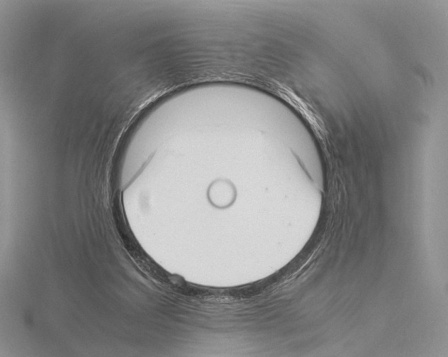 X0000115140203200912081332