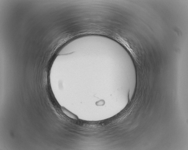 X0000115140205200912081332