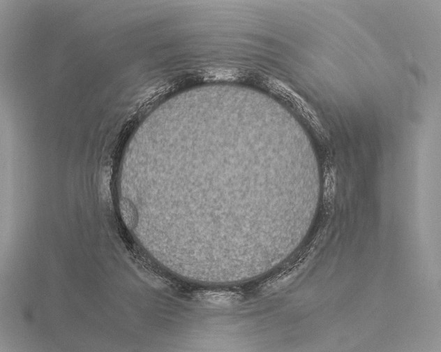 X0000115140209200912081332