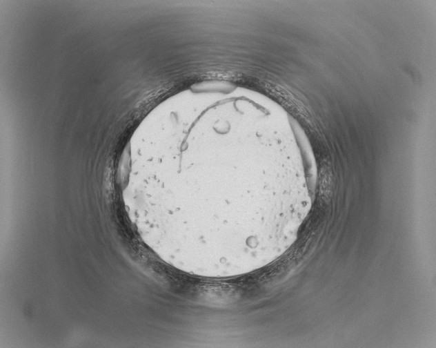 X0000115140215200912081332