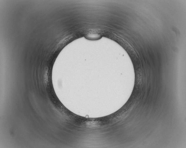 X0000115140216200912081332