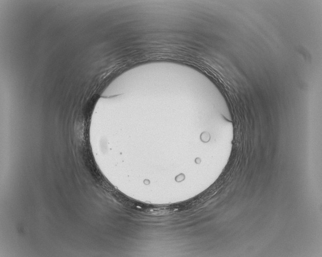 X0000115140219200912081332