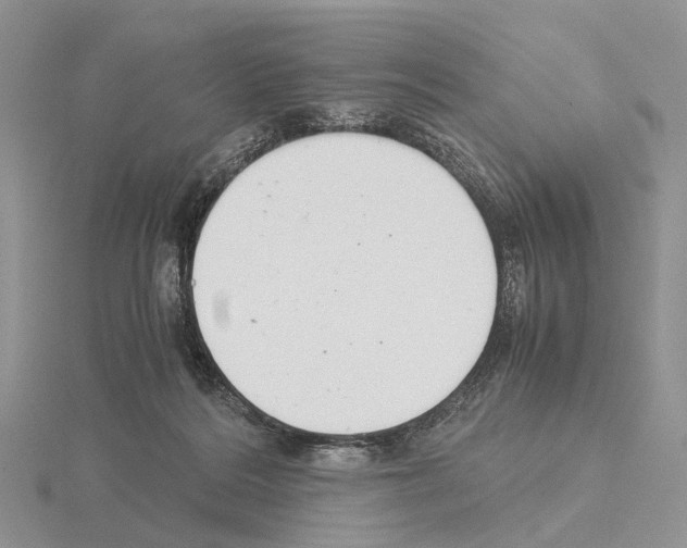 X0000115140220200912081332