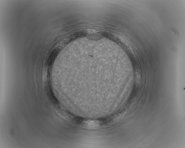 X0000115140221200912081332