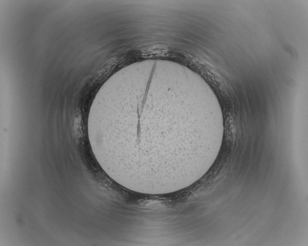 X0000115140224200912081332