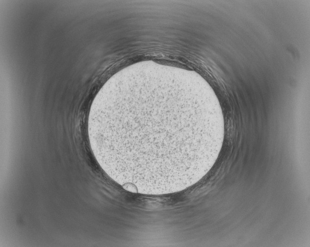 X0000115140229200912081332