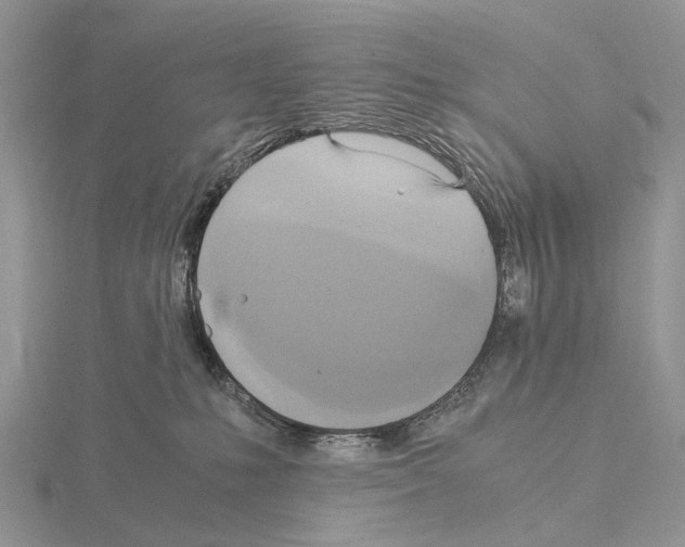 X0000115140231200912081332