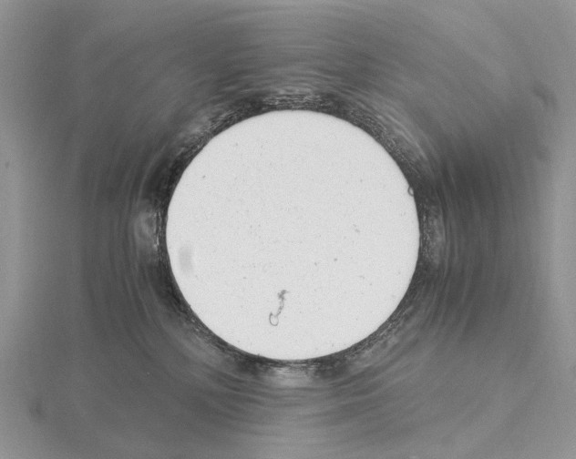 X0000115140232200912081332