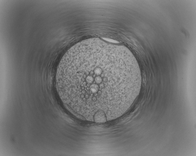 X0000115140235200912081332