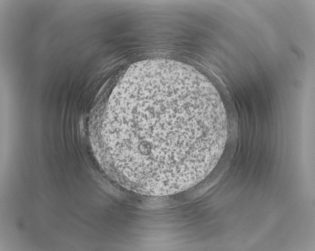 X0000115140238200912081332