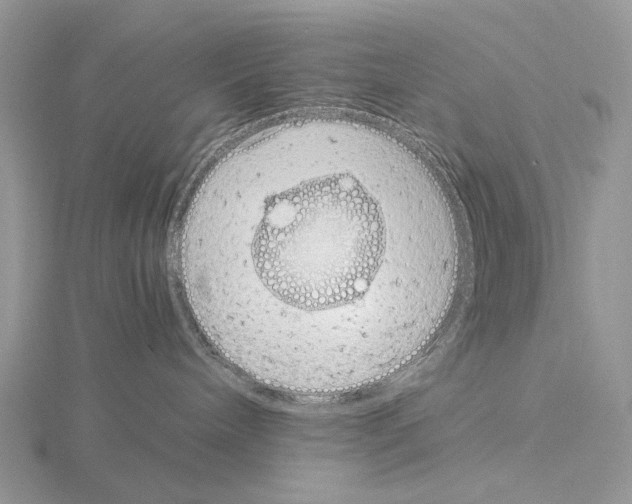 X0000115140240200912081332