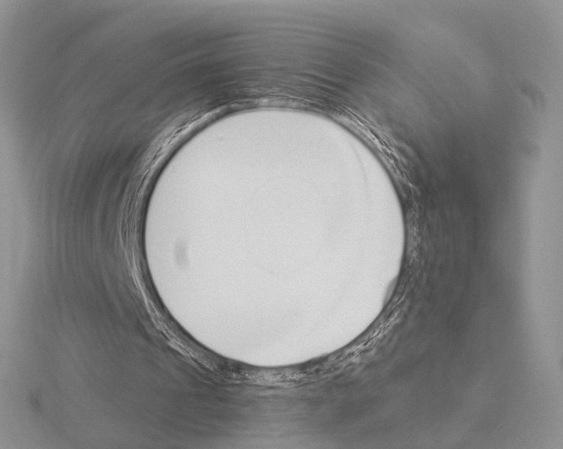 X0000115140241200912081331