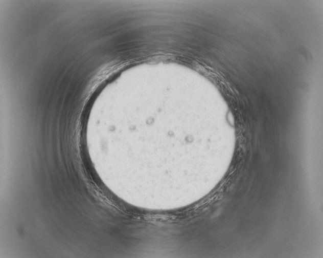 X0000115140242200912081331