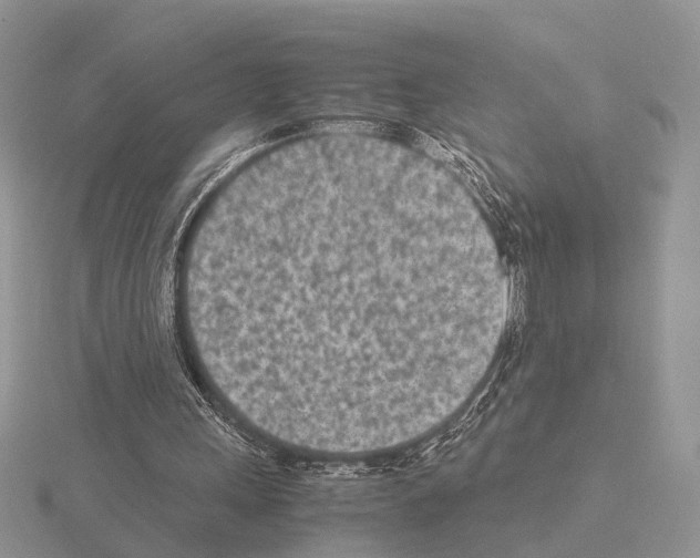 X0000115140243200912081331