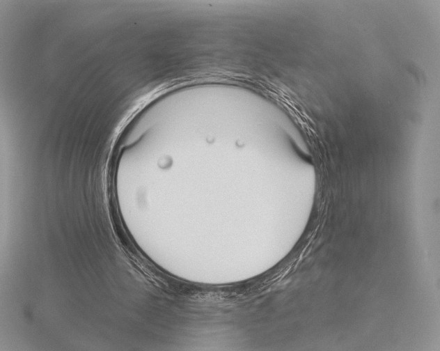 X0000115140244200912081331