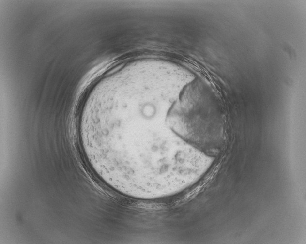 X0000115140245200912081331