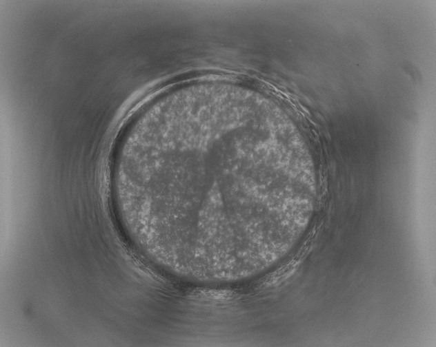 X0000115140247200912081331