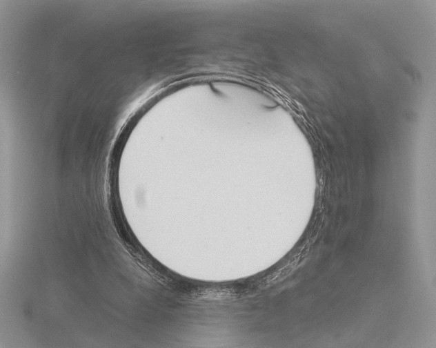 X0000115140248200912081331