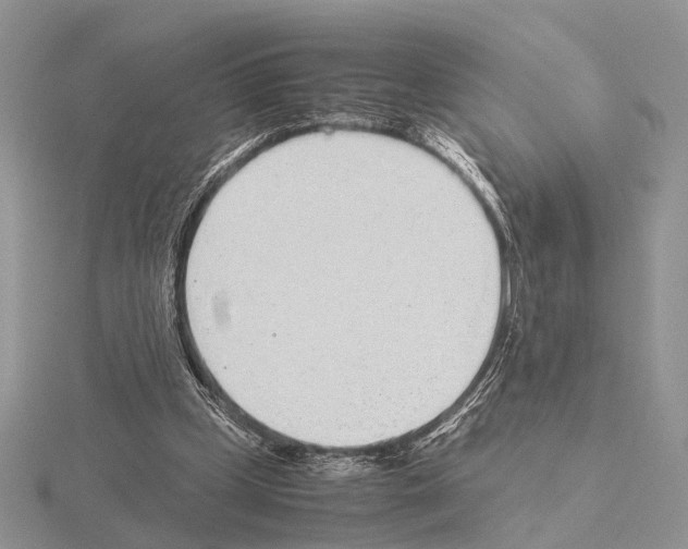 X0000115140249200912081331