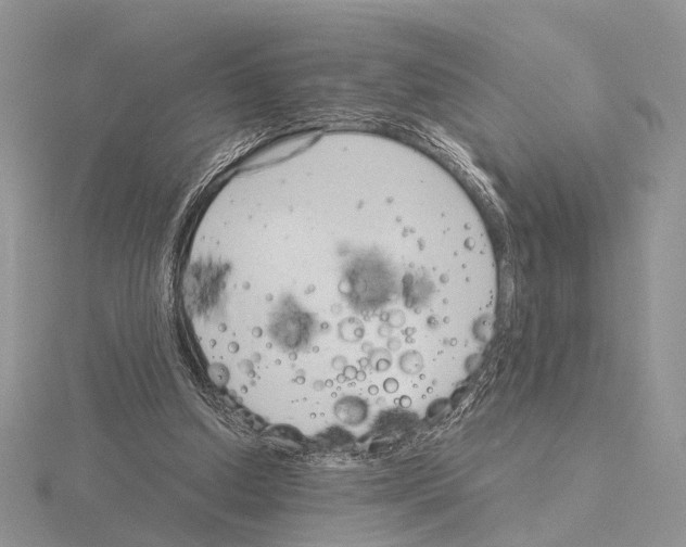 X0000115140250200912081331