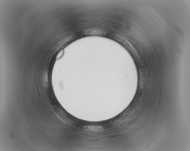 X0000115140251200912081331