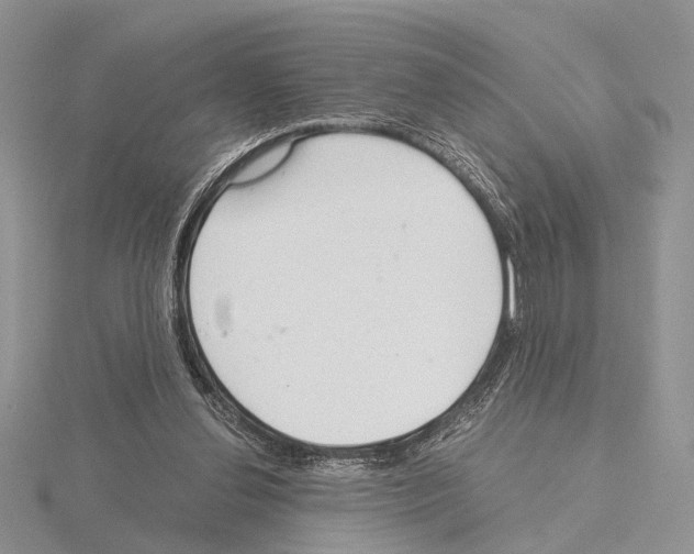 X0000115140252200912081331