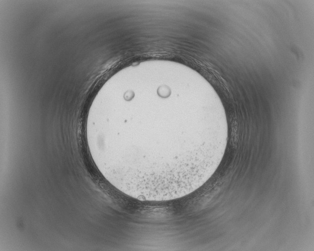 X0000115140260200912081332