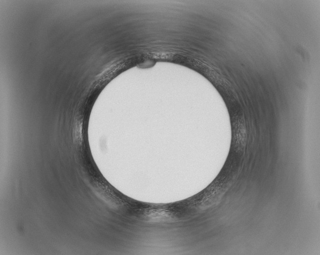 X0000115140262200912081332