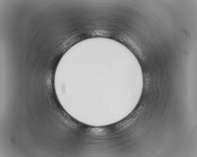 X0000115140265200912081332